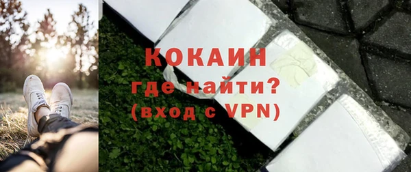 дживик Алексин