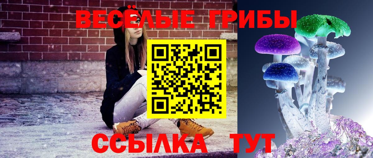 Псилоцибиновые грибы Cubensis Кольчугино