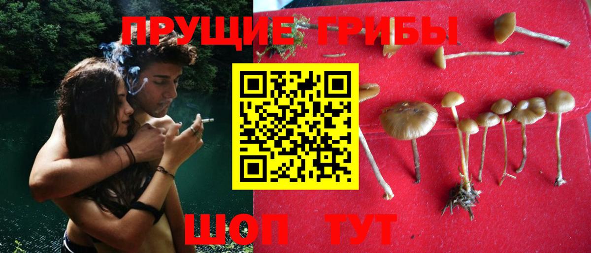 Псилоцибиновые грибы MAGIC MUSHROOMS Кольчугино