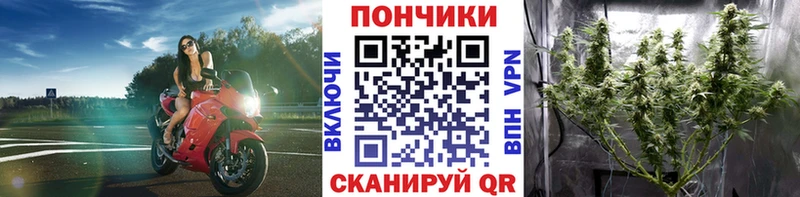 где купить наркотик  Кольчугино  Конопля индика 